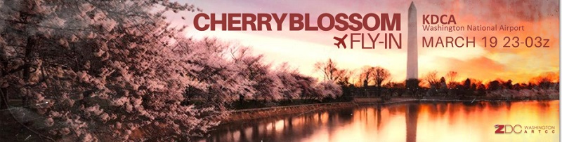 DVA 15th Anniversary Blowout/Cherry Blossom Festival Banner
